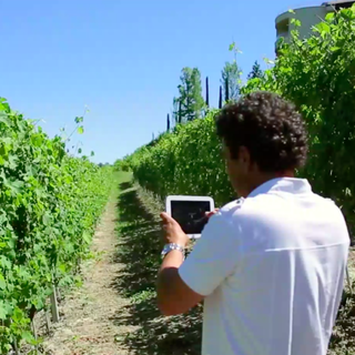 3A porta l'innovazione nei controlli di qualità dei dati meteorologici: &quot;Fondamentale il supporto di Cdo e Camera&quot;