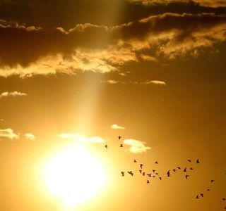 Meteo, un ‘ponte’ al sole: assaggio d'estate nel fine settimana