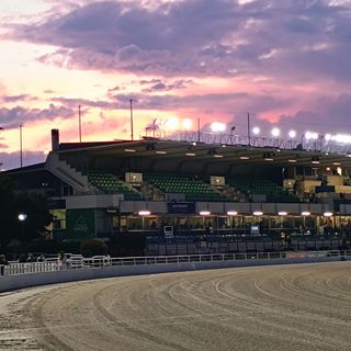 Il 21 luglio ultima notturna della stagione all'ippodromo di Vinovo