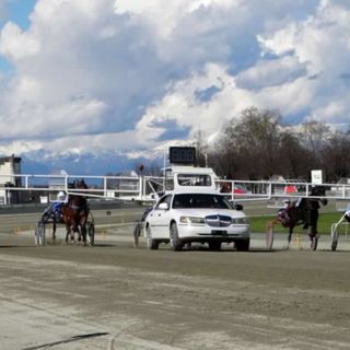Il 31 ultimo grande appuntamento di trotto per il maggio dell'ippodromo di Vinovo