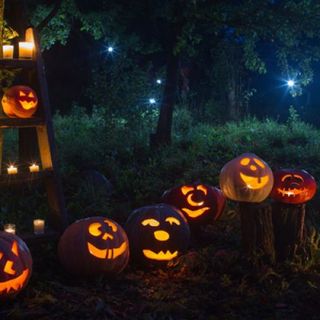 Paesana: il bosco di Pian Munè si trasforma per Halloween e diventa stregato