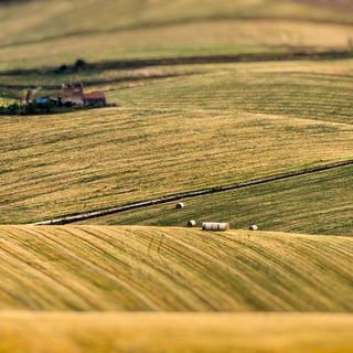 Coldiretti: “Indennità compensativa: le risorse sono ancora insufficienti”