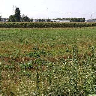 area verde vadò