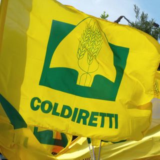bandiera coldiretti
