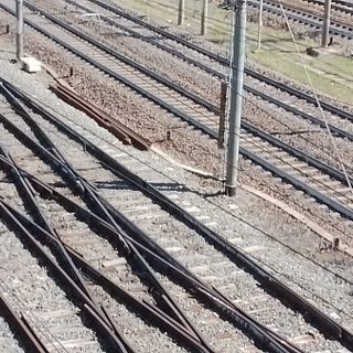 binari dei treni