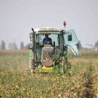 Clima pazzo e nuove sfide colpiscono l'agricoltura: in dieci anni perse quasi 18mila aziende in Piemonte