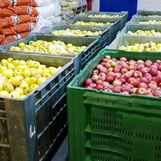 Coldiretti Piemonte: "La follia dell'Ue mette in ginocchio l'export della frutta: a rischio 500 milioni