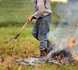 A Vigone fino a domenica si potranno bruciare residui vegetali