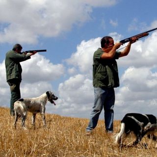 Attività venatoria in Piemonte: il TAR condanna la Regione. Esultano le associazioni animaliste