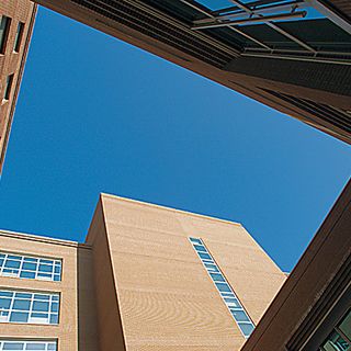 Da Candiolo una speranza contro il tumore del colon-retto: