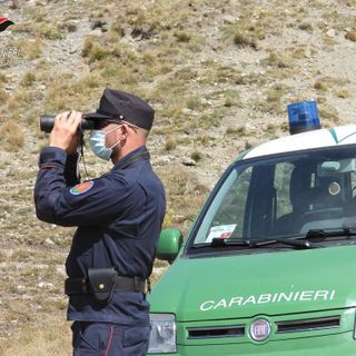 Dai controlli è emerso che c'erano decine di persone a caccia provenienti da un altro territorio