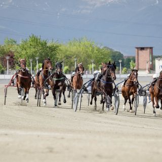 Domenica anche l'ippodromo di Vinovo ricorda il Grande Torino