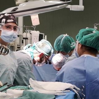 Bimbo morto per la puntura di un calabrone: il trapianto degli organi salva cinque vite