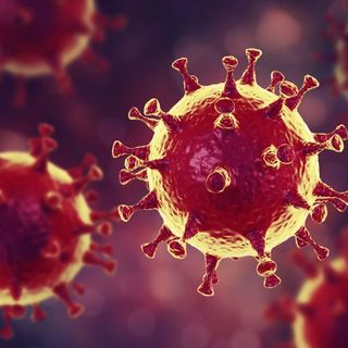 Coronavirus, oggi in Piemonte due morti e 13 ricoverati in più, ma nessuno in terapia intensiva