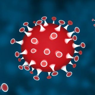 Coronavirus: in provincia di Torino 47 nuovi contagiati nelle ultime 24 ore, sei i decessi