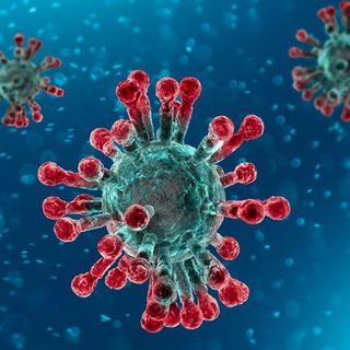 Il virus sembra frenare ancora: a Torino e provincia 4 decessi in più di ieri. Sono 14 in tutta la Regione. I nuovi contagi sono 60