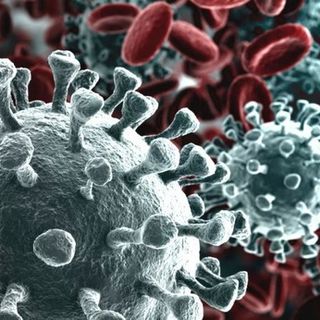 Continua la corsa del Coronavirus in Piemonte: 4 i decessi e quasi 500 nuovi positivi