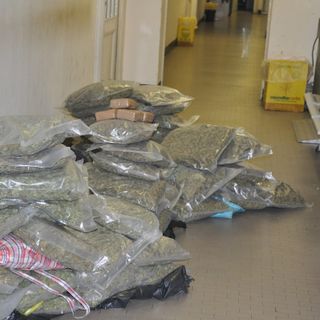 60 chili di marijuana trovata nella disponibilità di un 46enne di Venaria