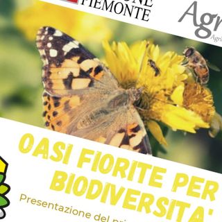 Invito Conferenza Stampa “Oasi fiorite per la biodiversità”