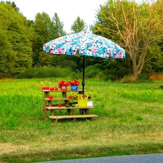 kit da campeggio e pic nic