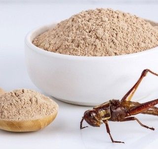 I grilli invadono i supermercati e conquistano gli spaghetti: Torino tra le prime città a introdurre la farina di insetti