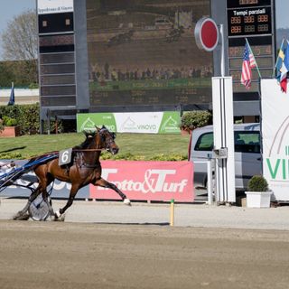 retta d'arrivo vinovo