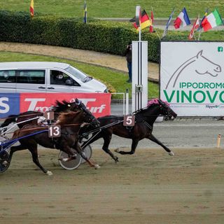 retta d'arrivo ippodromo di vinovo