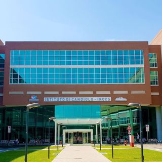 I quadri di Pier Tancredi De Coll’ per aiutare la ricerca contro il cancro di Candiolo