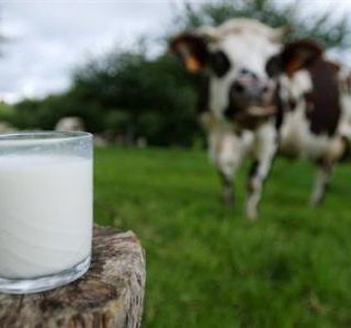 Coronavirus, dalla Regione un sostegno alla filiera lattiero casearia del Piemonte