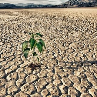 Crisi idrica: Pinerolo emana l’ordinanza per limitare l’uso dell’acqua potabile