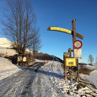 Strada per Pian dell'Alpe