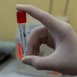 Coronavirus, la Juve ferma l'attività del settore giovanile