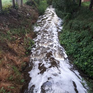 Immagine di repertorio