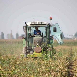 475 milioni di Fondi Fesr per l'ambiente, Marnati: &quot;Lavoreremo per la transizione ecologica&quot;