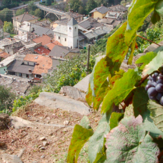 Comune di montagna ripreso dall'alto