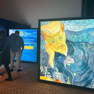 I colori di Van Gogh invadono gli spazi della Palazzina di Caccia di Stupinigi