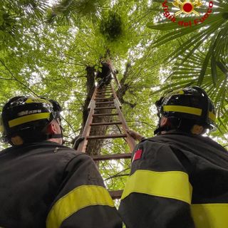 vigili del fuoco in azione
