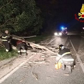 Albero si schianta sulla carreggiata, rimosso tronco a Roure