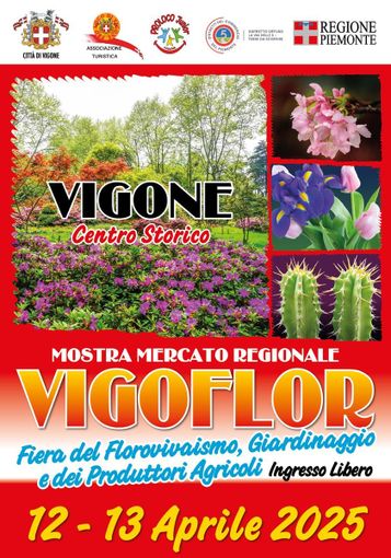 Vigone si prepara a rivestirsi di fiori Vigone si prepara a rivestirsi di fiori