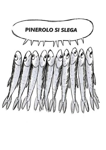 Anche “Pinerolo si slega”: domani le sardine in piazza Facta
