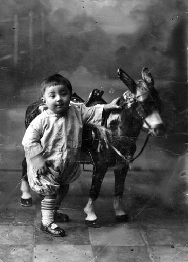 Il piccolo Giovanni Senestro Il piccolo Giovanni Senestro