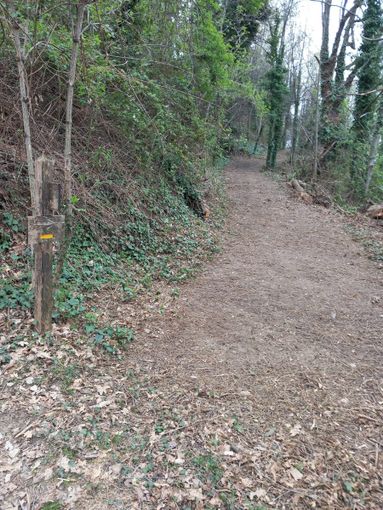 La pista ripulita La pista ripulita