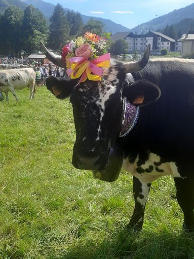 Drapo, la nuova Miss Manza