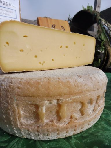 Il nuovo formaggio Sërvage Il nuovo formaggio Sërvage