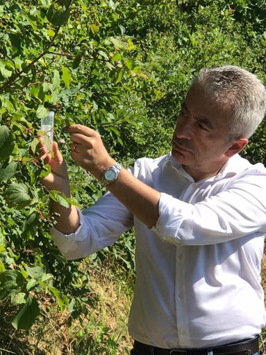 Marco Protopapa Marco Protopapa