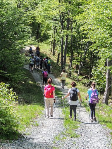 Al Colle del Lys il 3 luglio la commemorazione dei Caduti della Resistenza Al Colle del Lys il 3 luglio la commemorazione dei Caduti della Resistenza