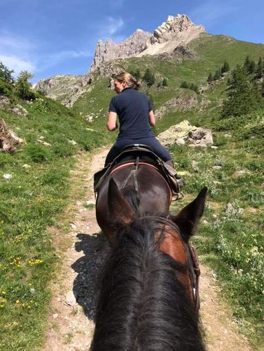 Cambio al vertice per la Consulta persone in difficoltà: Francesca Bisacco nuova presidente