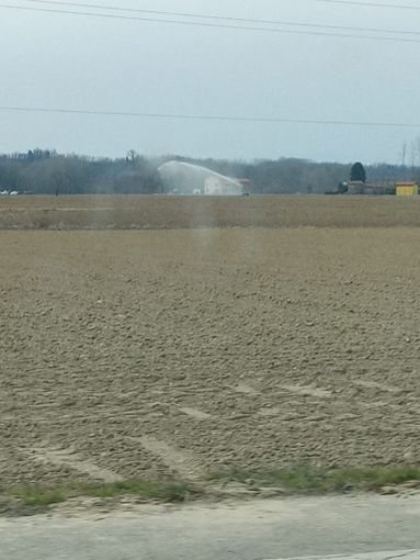 Campi irrigati Campi irrigati