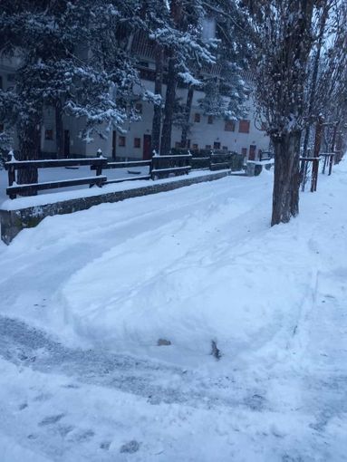 Neve in paese a Bardonecchia, le webcam mostrano imbiancate anche le piste ad alta quota di Oulx e Banchette