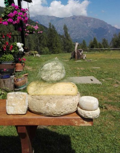 Formaggi d'alpeggio
